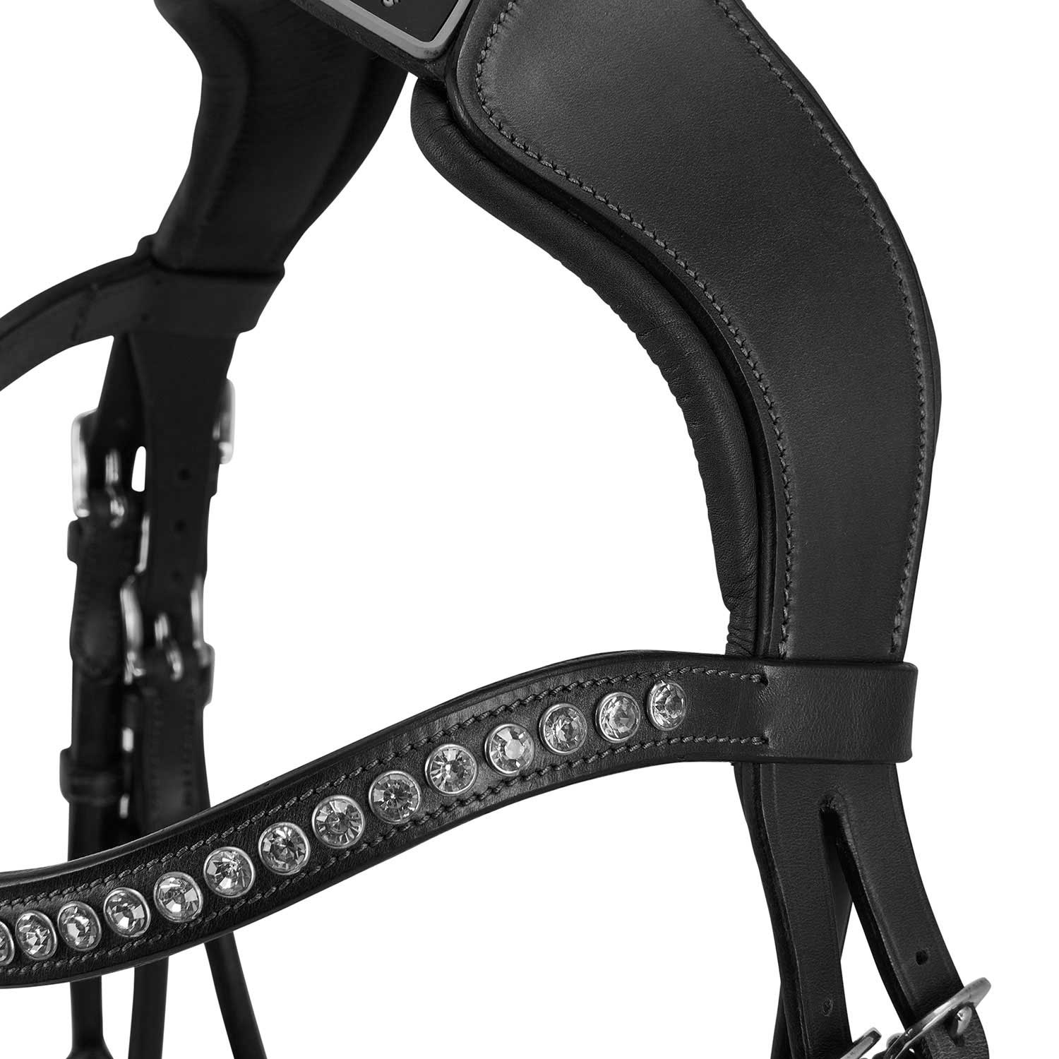 Acavallo leather bridle