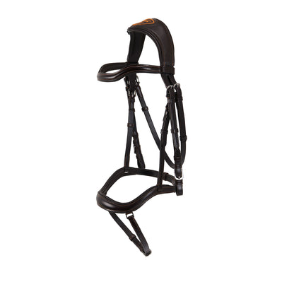 Anatomic jumping bridle