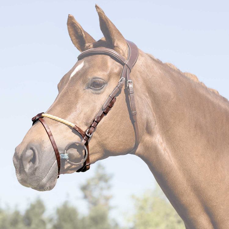 Acavallo Rope noseband for show jumping