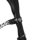 Acavallo dressage bridle