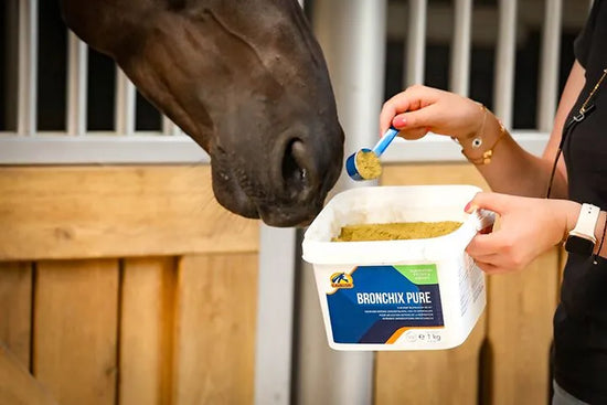 equine respiratory system supplement