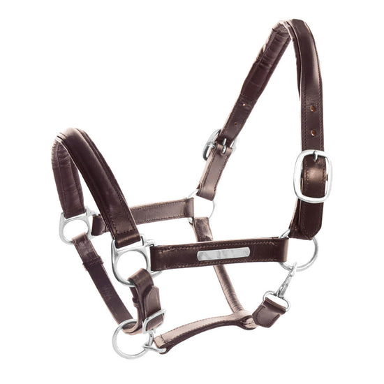 2m Red Nylon Halter at Rs 42/piece in Rohtak