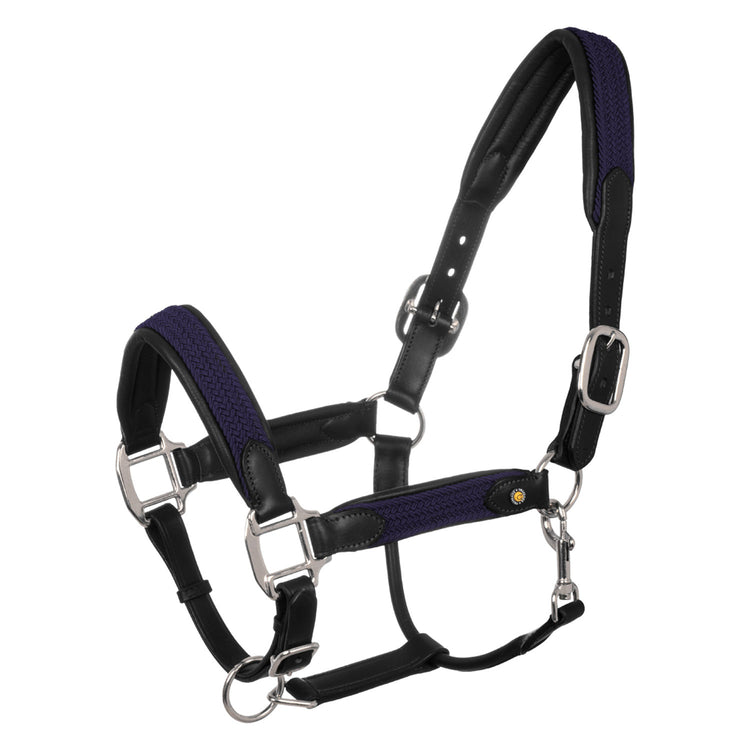 Navy plaited halter for horses