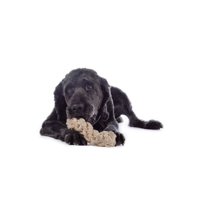 Knot bone for dogs