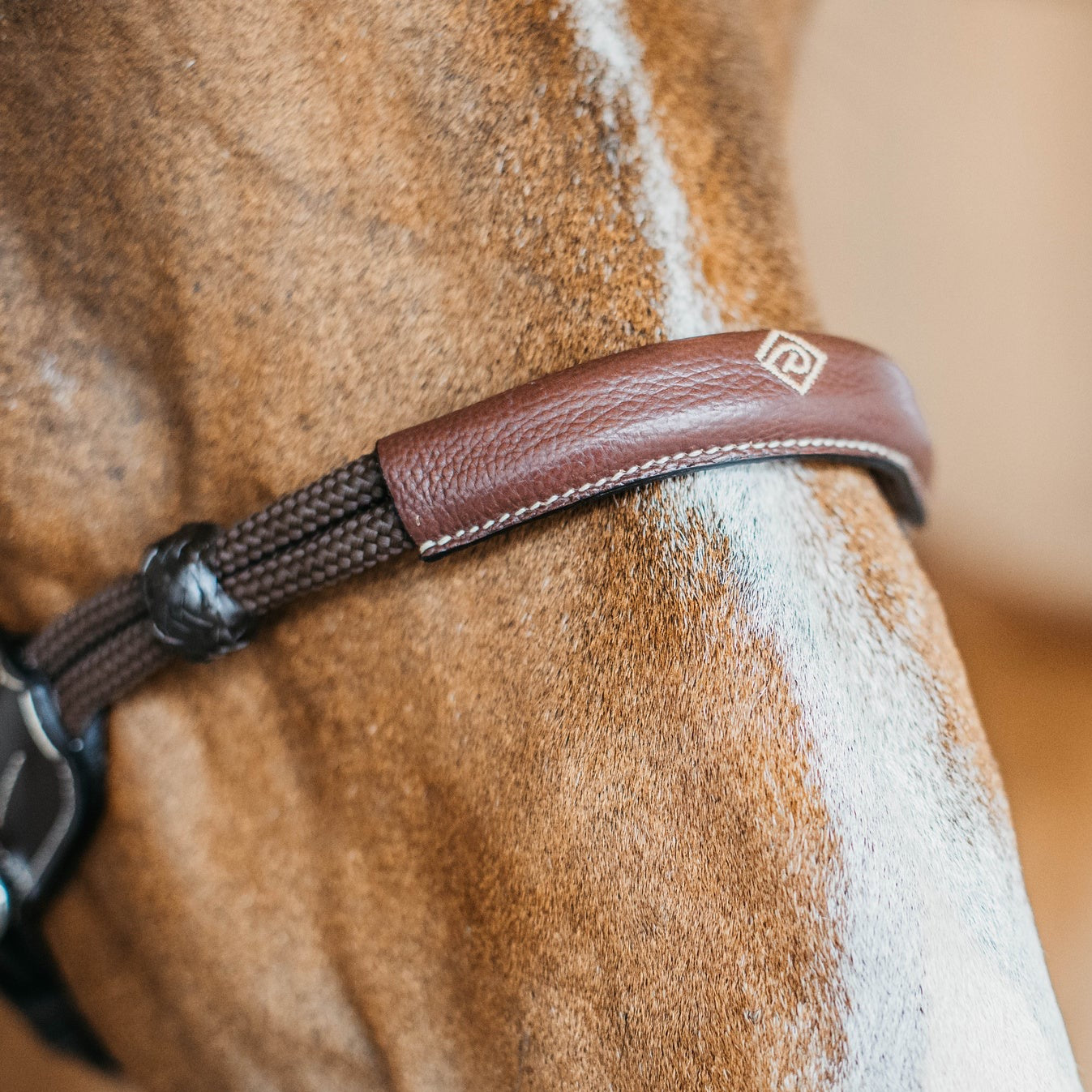 leather bitless bridle
