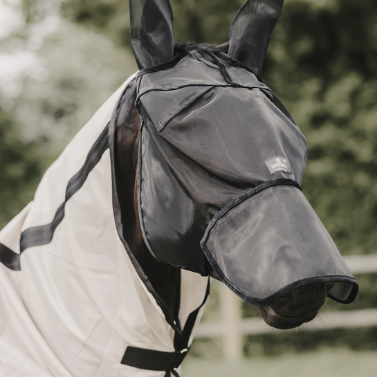 Best protective fly mask for horses