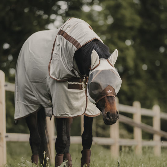 Best fly rug and fly mask for horses