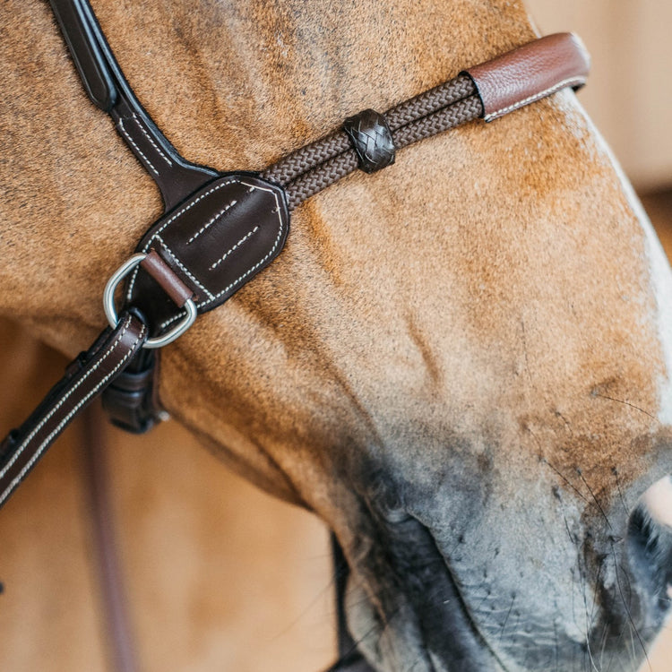 Bitless Bridle for Horses