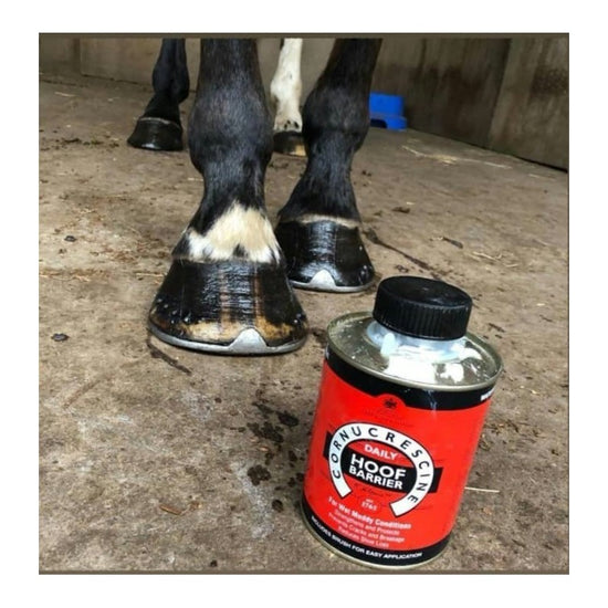 Daily Hoof Barrier Cornucrescinde Hoof Oil