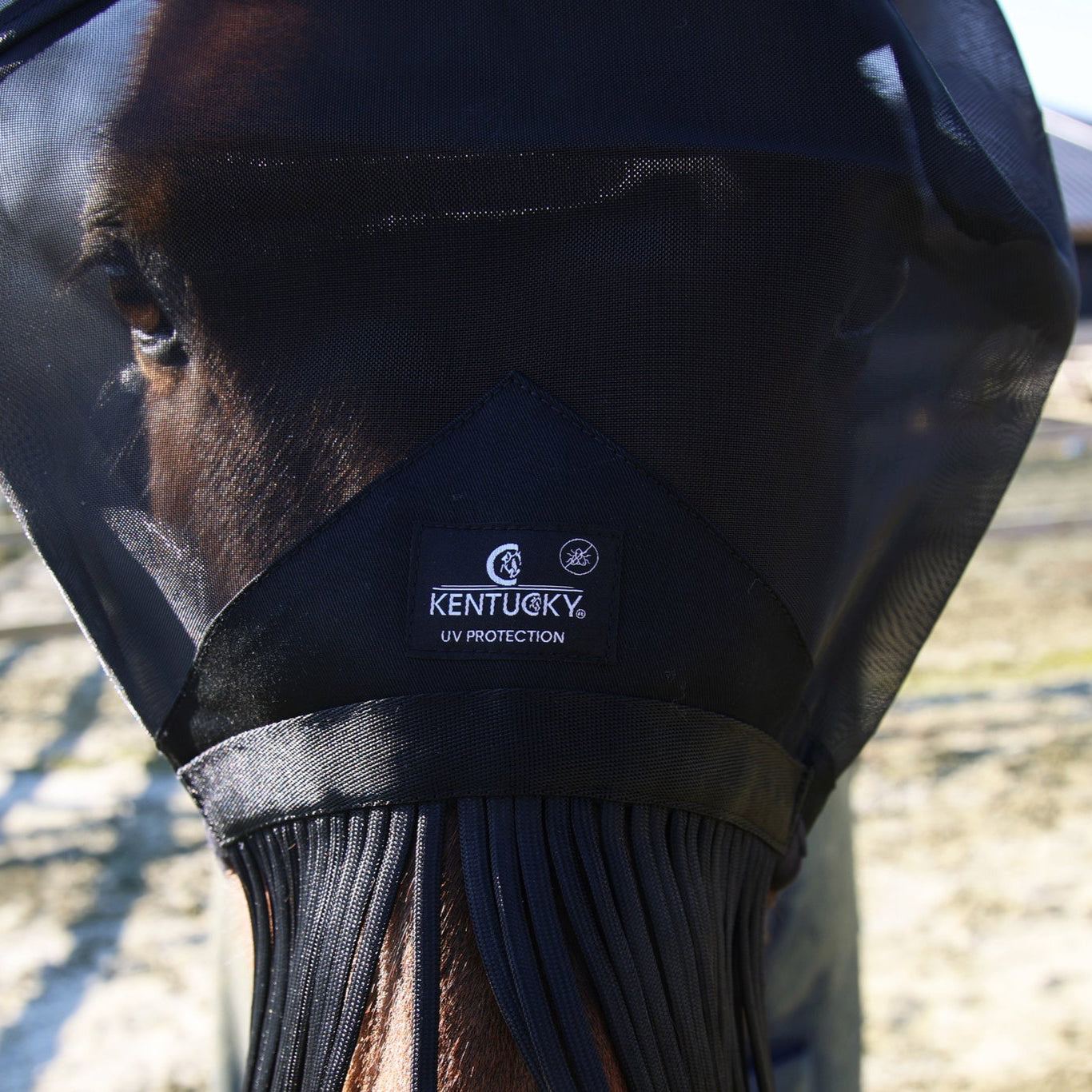 fly mask with nose protection