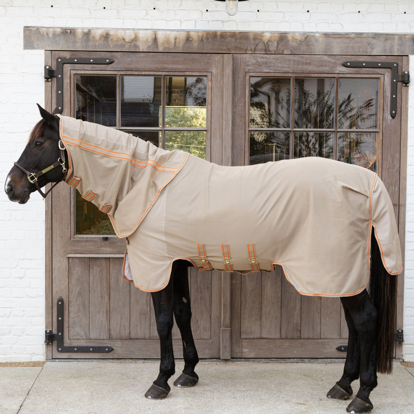 beige fly rug