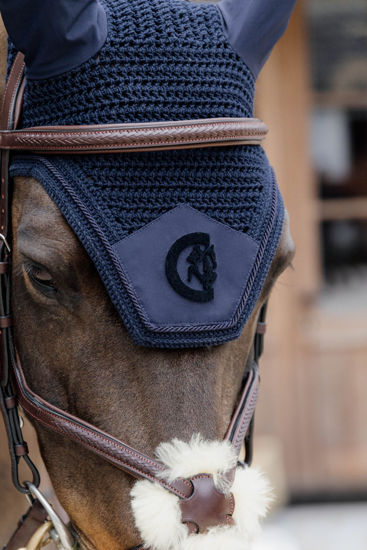 Stylish horse bridle