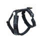 dog harness