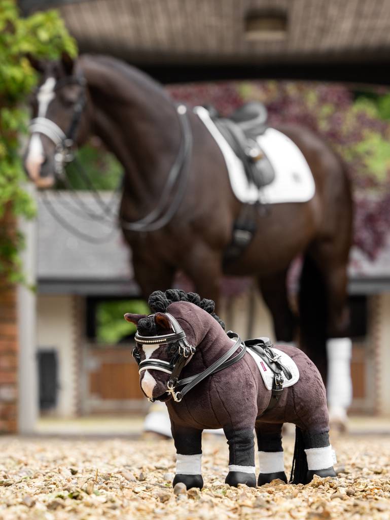 Valegro cuddle pony