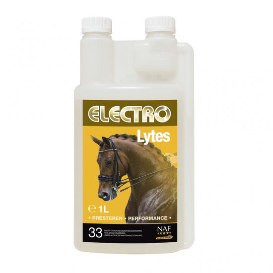 Electrolytes for horses