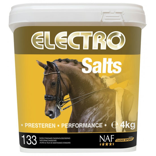 Electrolyte supplement for horses