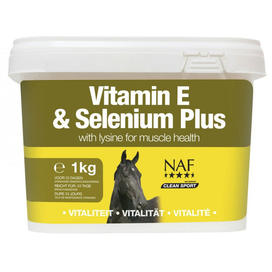 Equine vitamin supplement