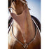 Best Bib martingale attachment for strong horses