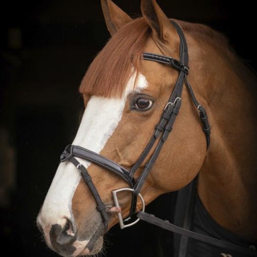 Penelope collection oxford performance bridle