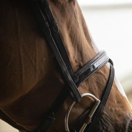 Oxford Performance Bridle