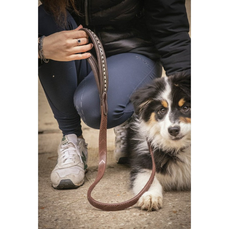 Penelope Dog lead