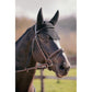 pretty ear bonnet with padded ears