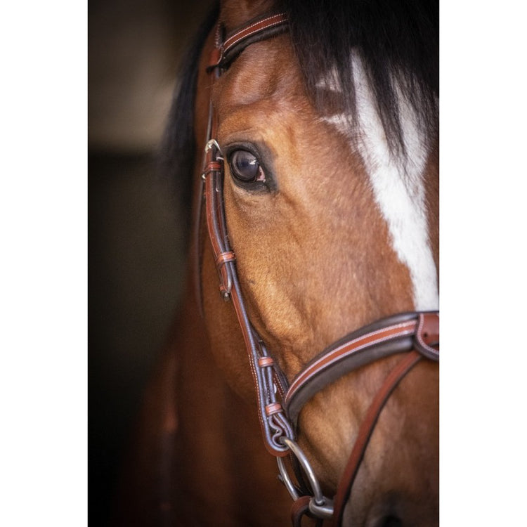 Classic bridle for jumper ring