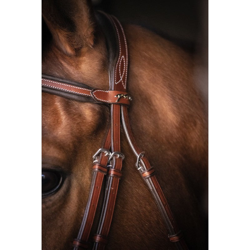 Penelope Horse Tack