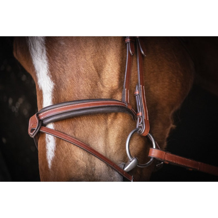 Fully removable flash strap bridle