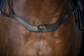 Anatomic Breast strap for horses