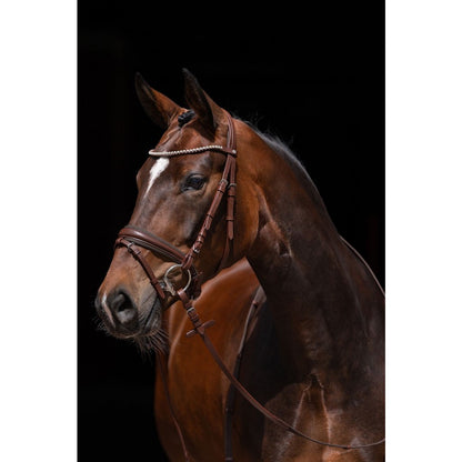 HKM Brown Dressage Bridle