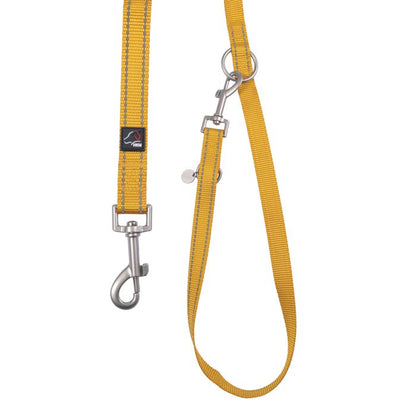 Golden yellow leash