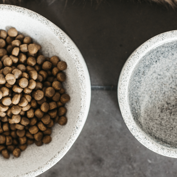 Minimal design granite dog bowl