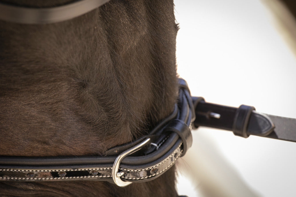 patent leather bridle