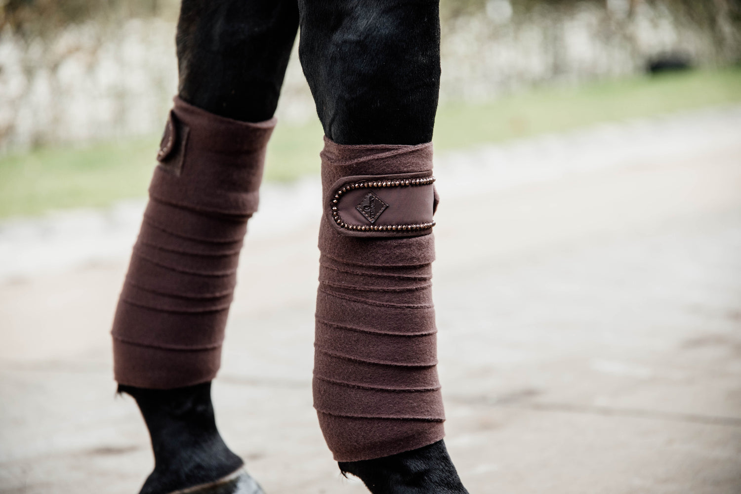 Brown Bandages for horses