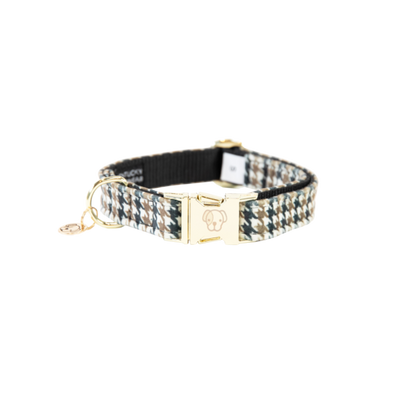 dog collar for equestrians