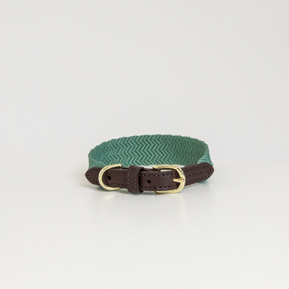 Olive green classy dog collar