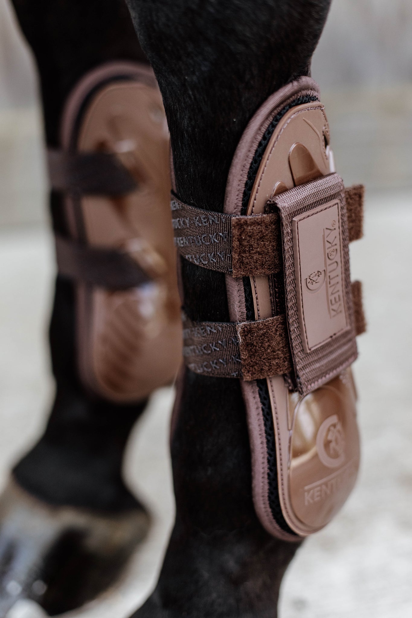 Kentucky Tendon Boots Velcro