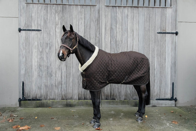 Kentucky Horsewear Brown Blanket