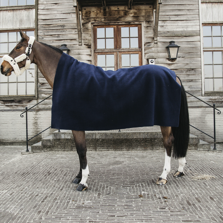 Warm Winter Fleece Blankets for horses