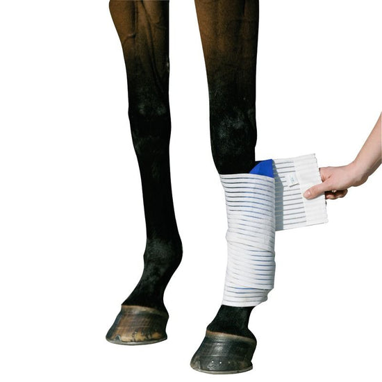 Kryo Kompakt Horse Bandage