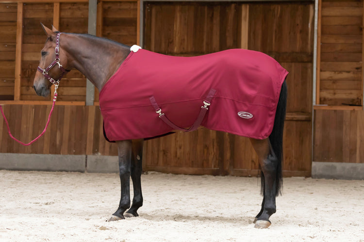 Moisture wicking rug for horses