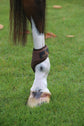 Young horse hind boots