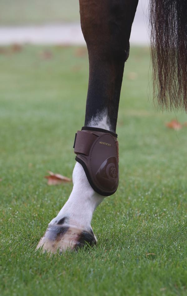 FEI Approved Young horse hind boots