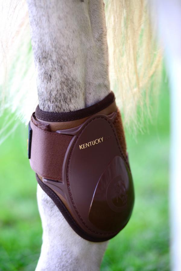 FEI approved hind boots for young horses