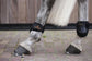 FEI approved young horse fetlock boots