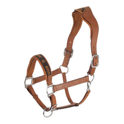 Anatomic Leather head collar