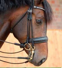 Rolled leather double bridle with large noseband