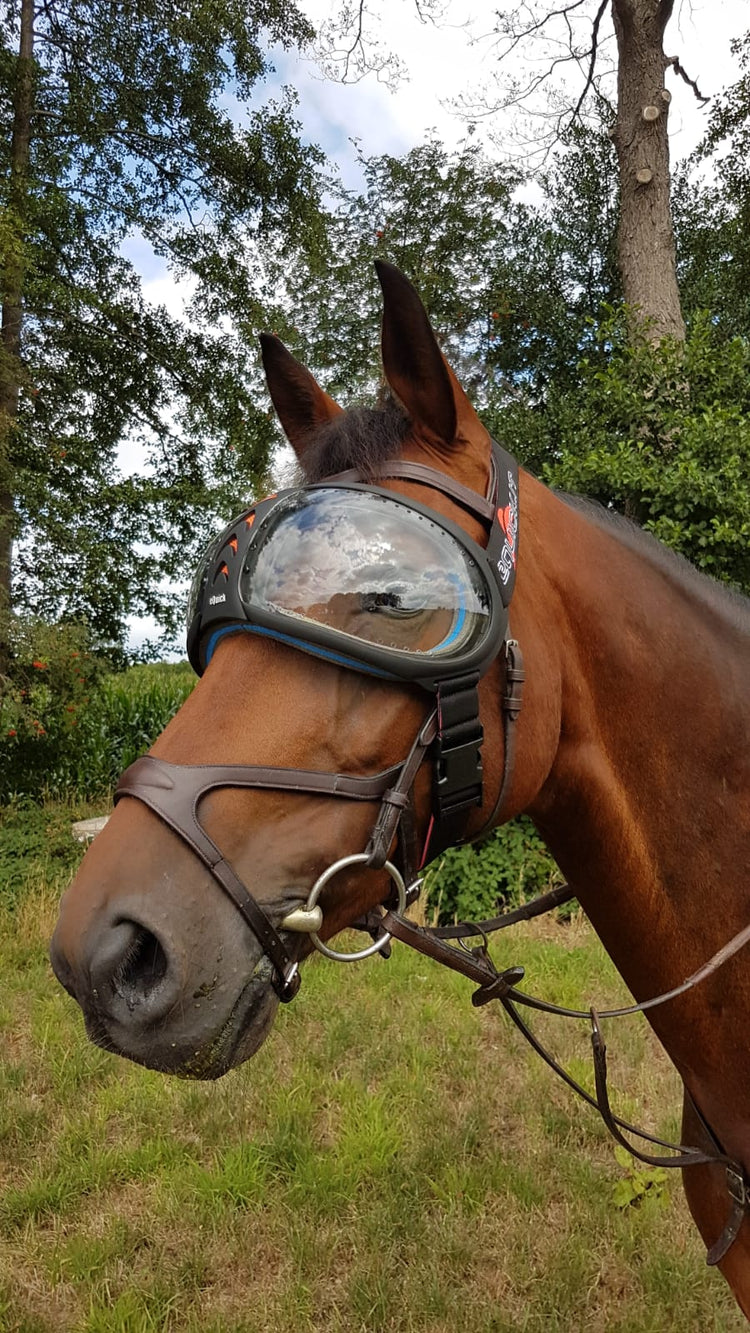 Horse Racing Goggles
