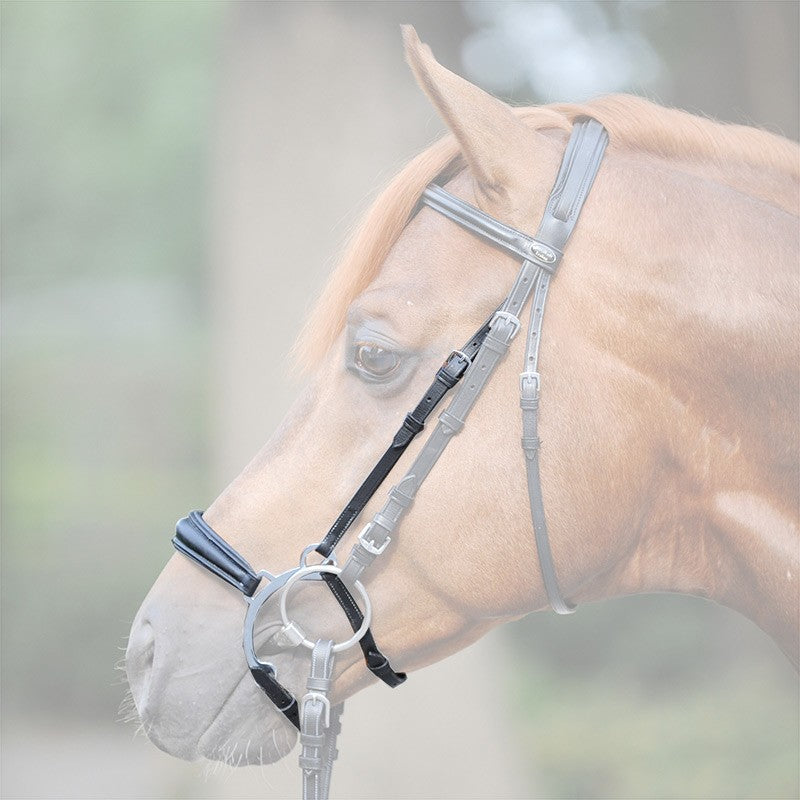 Combination Noseband – EquiZone Online